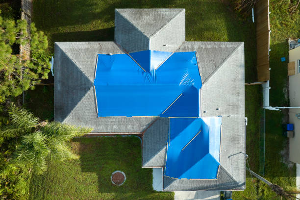 Best Roof Moss and Algae Removal  in Biggs, CA