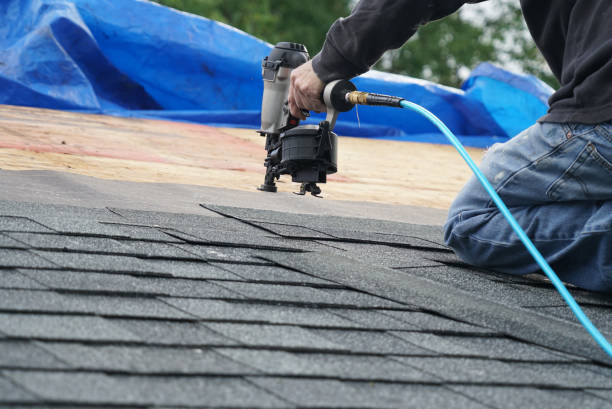 Best Chimney Flashing Repair  in Biggs, CA