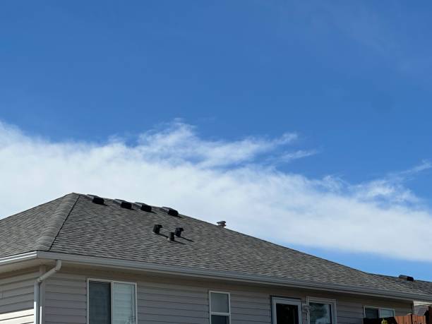 Best Roof Leak Repair  in Biggs, CA